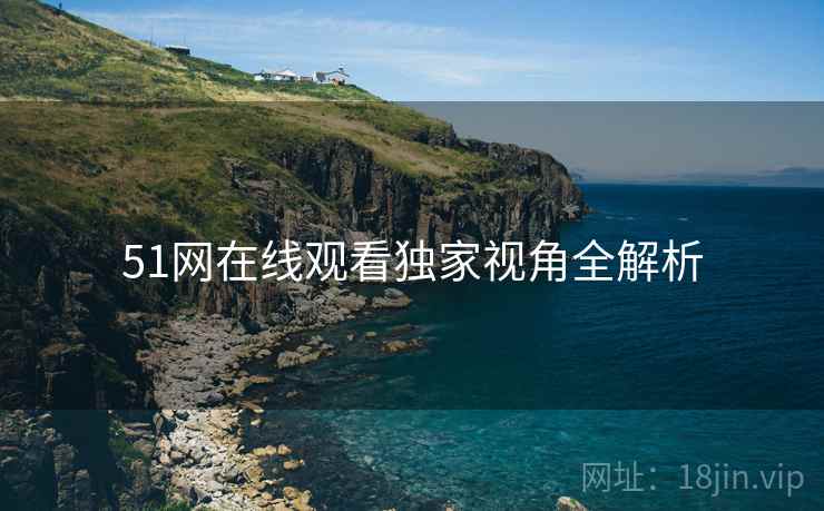 51网在线观看独家视角全解析