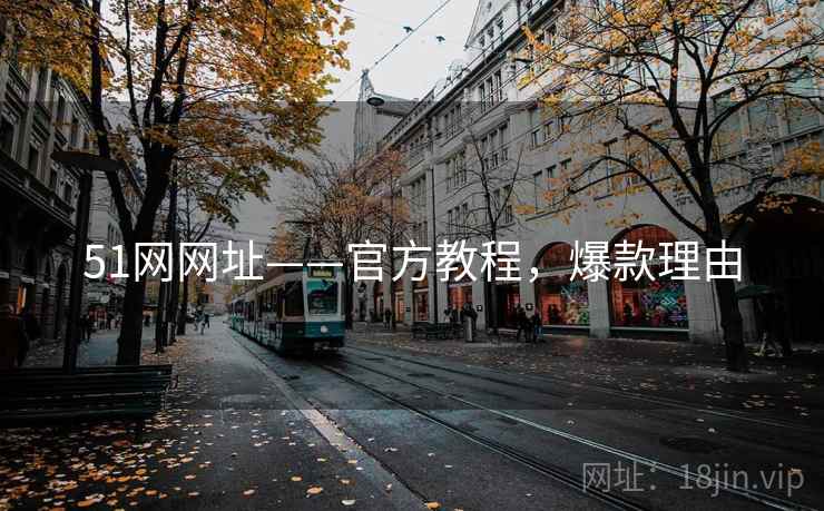 51网网址——官方教程，爆款理由