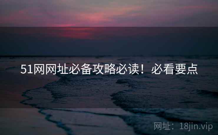 51网网址必备攻略必读！必看要点