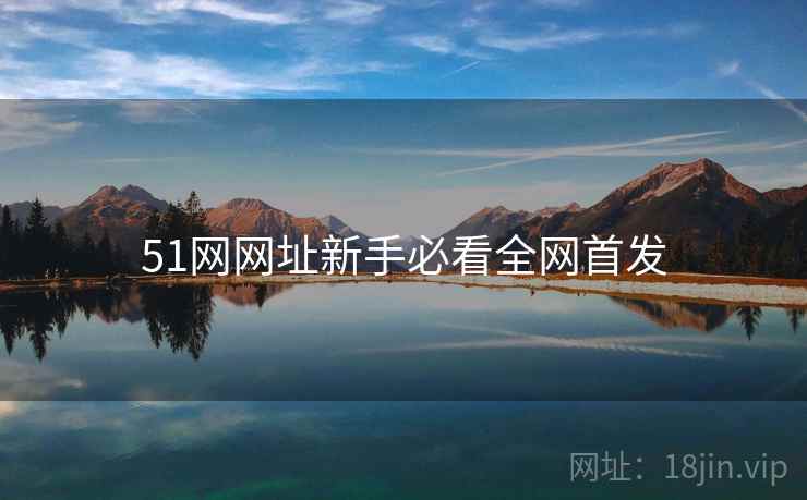 51网网址新手必看全网首发