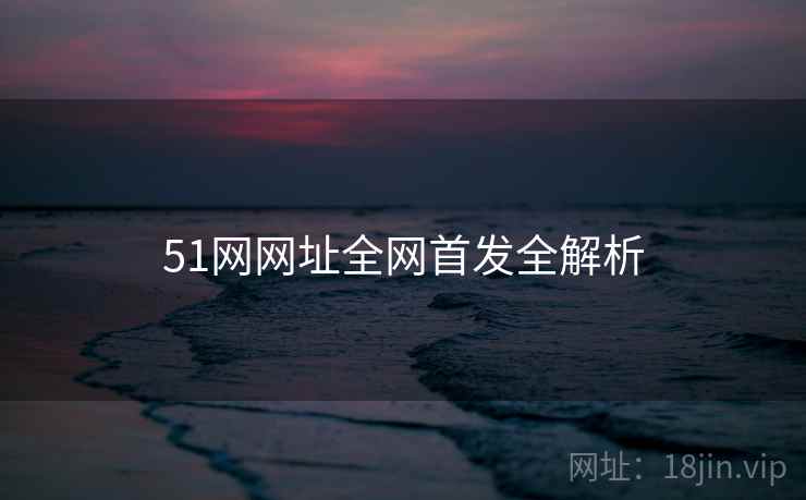 51网网址全网首发全解析