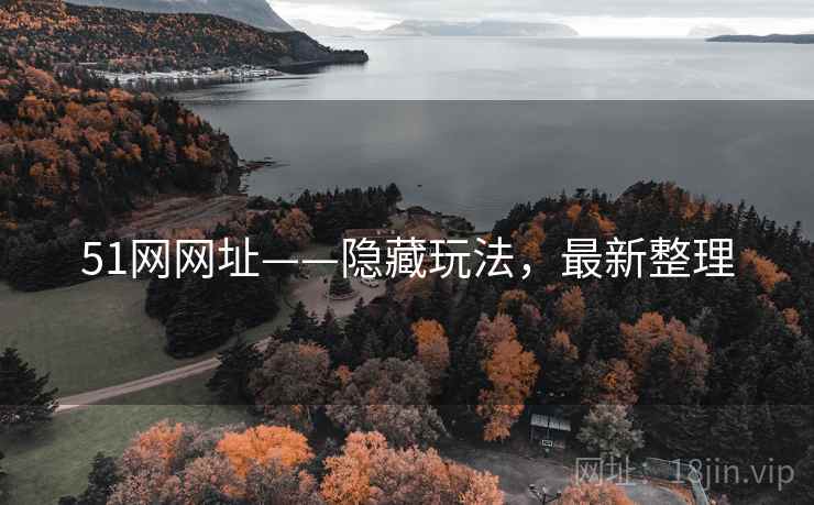 51网网址——隐藏玩法，最新整理