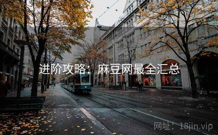 进阶攻略:麻豆网最全汇总 进阶攻略:麻豆网最全汇总