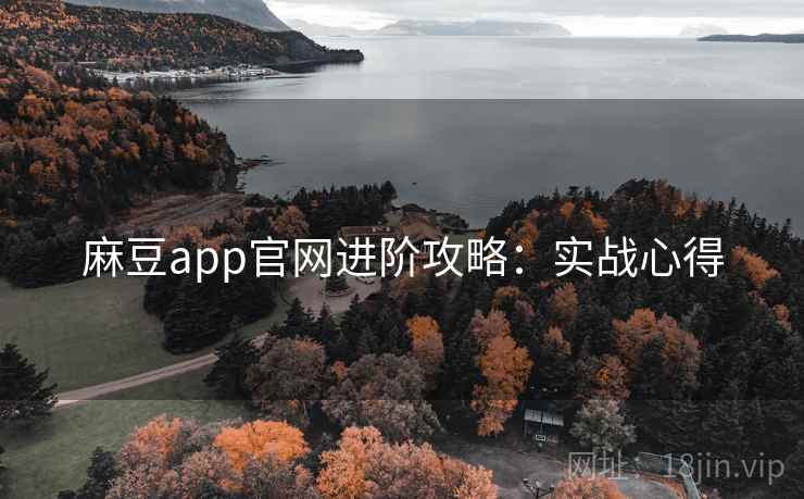 麻豆app官网进阶攻略：实战心得